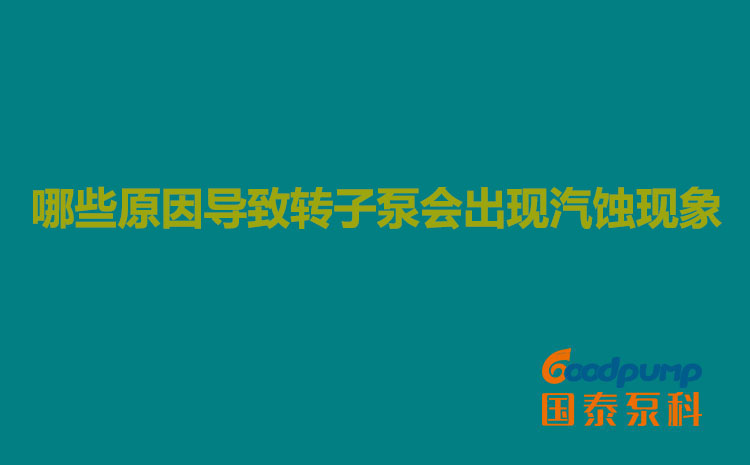 哪些原因?qū)е罗D(zhuǎn)子泵會出現(xiàn)汽蝕現(xiàn)象