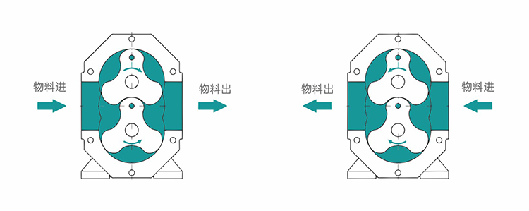 凸輪轉(zhuǎn)子泵試車注意事項
