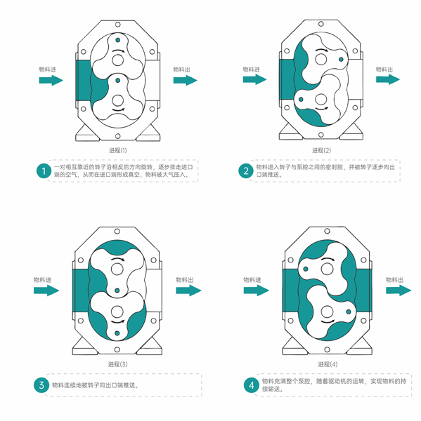 凸輪轉(zhuǎn)子泵工作原理